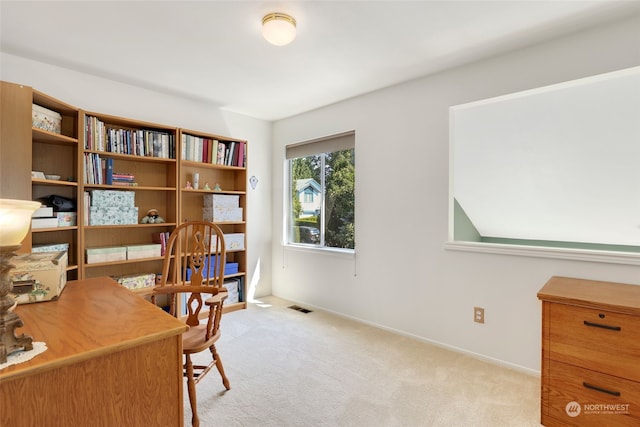 view of carpeted home office