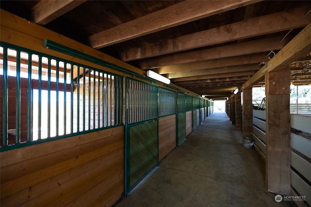 view of horse barn