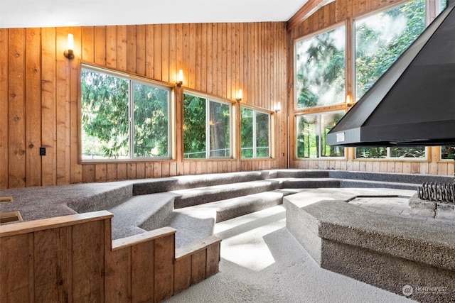 interior space with vaulted ceiling and wood walls