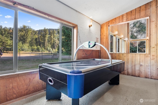 playroom with wooden walls and vaulted ceiling