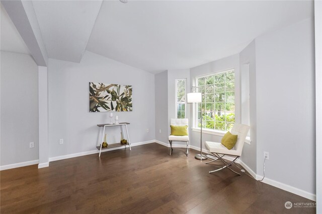 unfurnished room with dark wood-type flooring