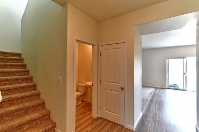 stairs with hardwood / wood-style floors