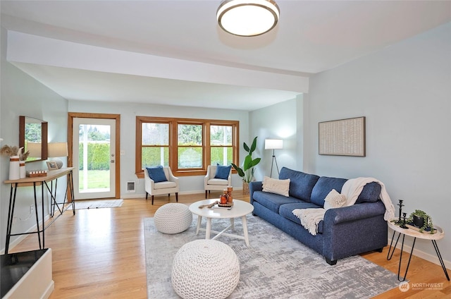 living room with light hardwood / wood-style flooring and plenty of natural light