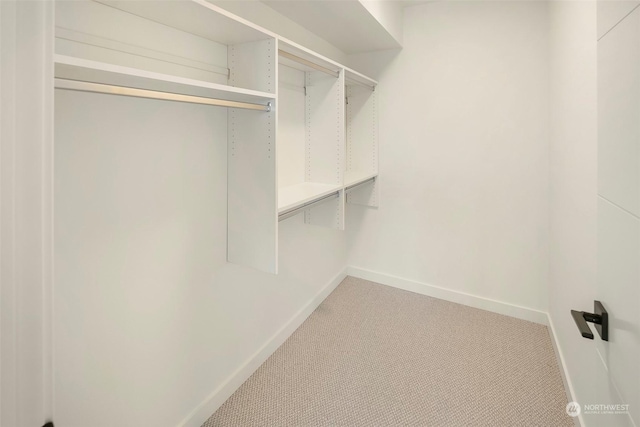 spacious closet with carpet floors