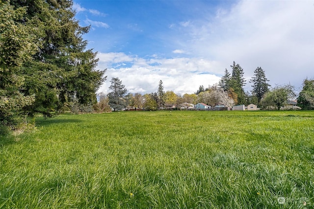 view of yard featuring a rural view