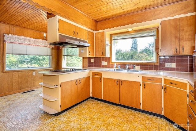 kitchen featuring sink, wooden walls, range hood, black gas stovetop, and wooden ceiling