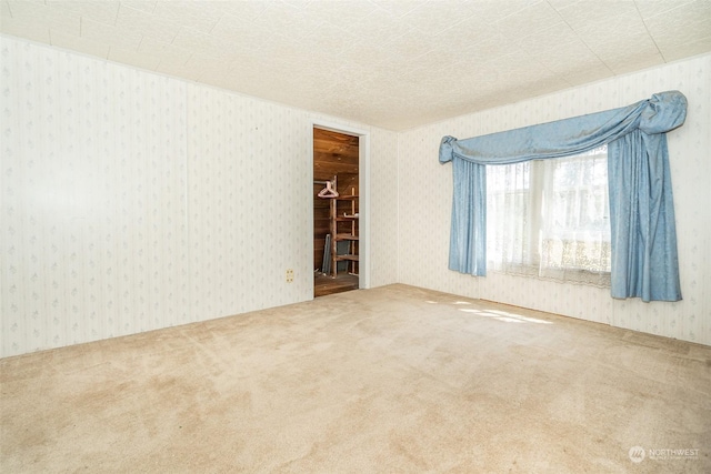 unfurnished room with carpet