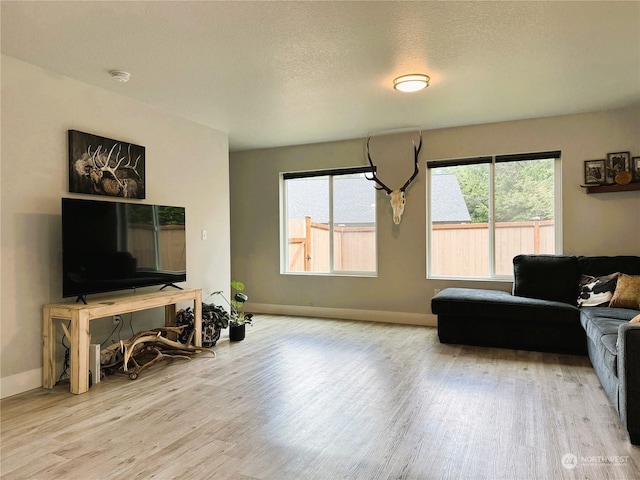 living room with hardwood / wood-style floors and a textured ceiling