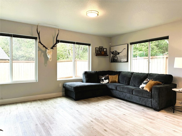 living room with light hardwood / wood-style flooring and a textured ceiling