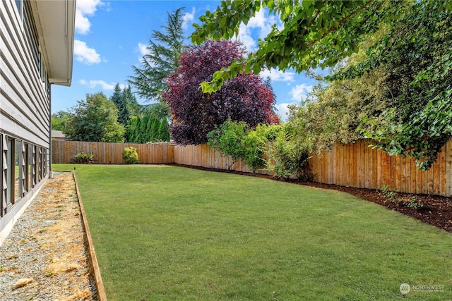 view of yard with a fenced backyard