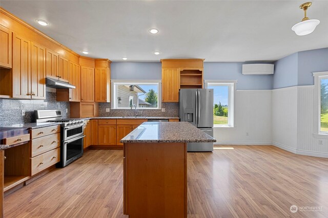 kitchen with stainless steel appliances, light hardwood / wood-style floors, and a wealth of natural light