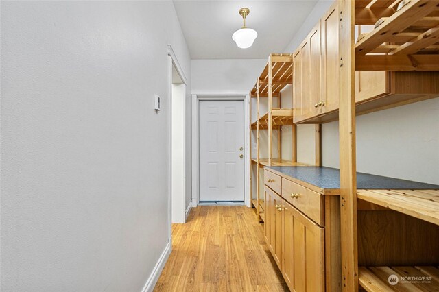 interior space featuring light hardwood / wood-style floors