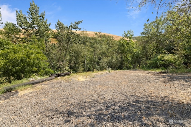 241 Tracy Rd, Waitsburg, WA 99361 - photo 7