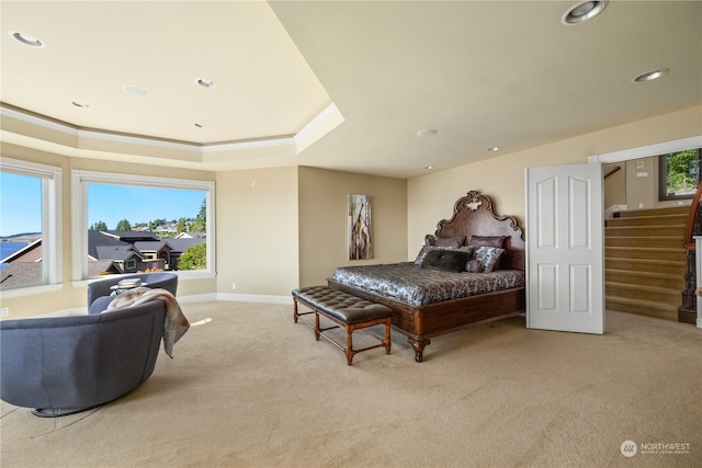 carpeted bedroom featuring a raised ceiling