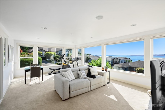 living room with light carpet and a wealth of natural light