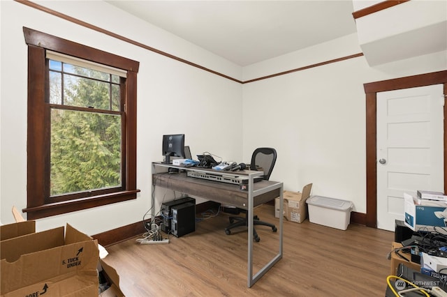 home office featuring hardwood / wood-style flooring