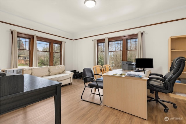 office space featuring crown molding, plenty of natural light, and light wood-type flooring