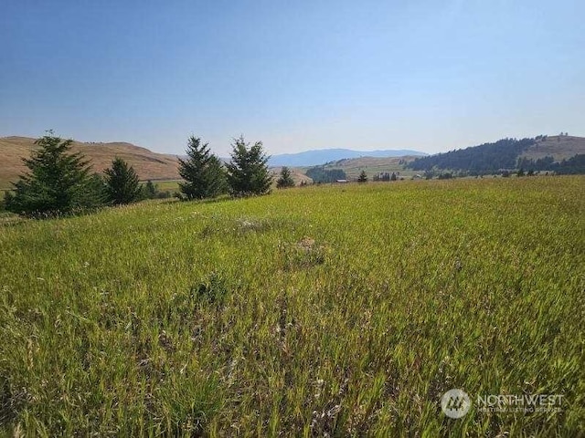 Listing photo 3 for 35 Moose Mountain Rd Lot J, Lot J, Oroville WA 98844