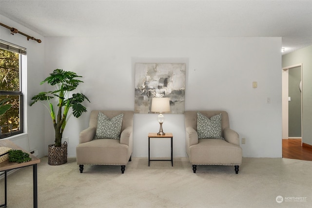 sitting room featuring carpet