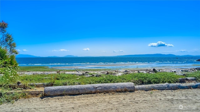 water view with a view of the beach