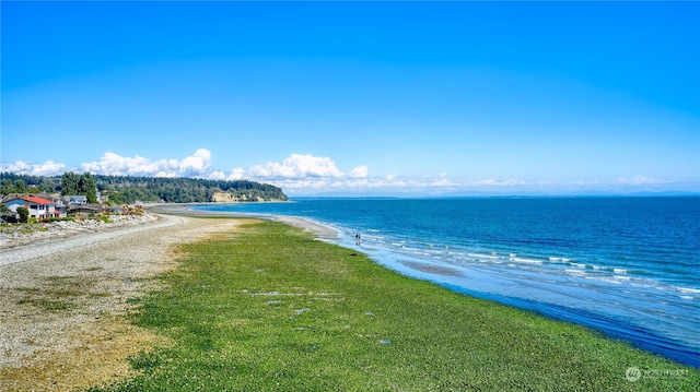 view of water feature featuring a view of the beach