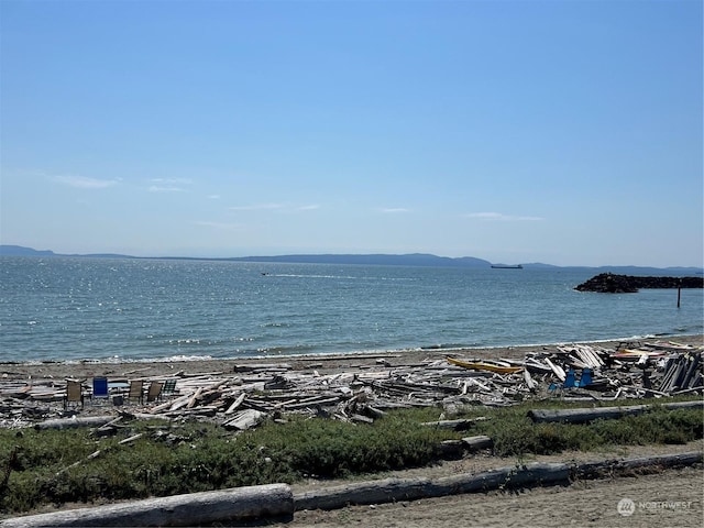 view of water feature