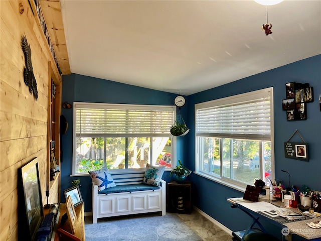 interior space featuring plenty of natural light and vaulted ceiling