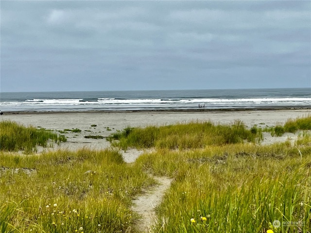 water view featuring a beach view