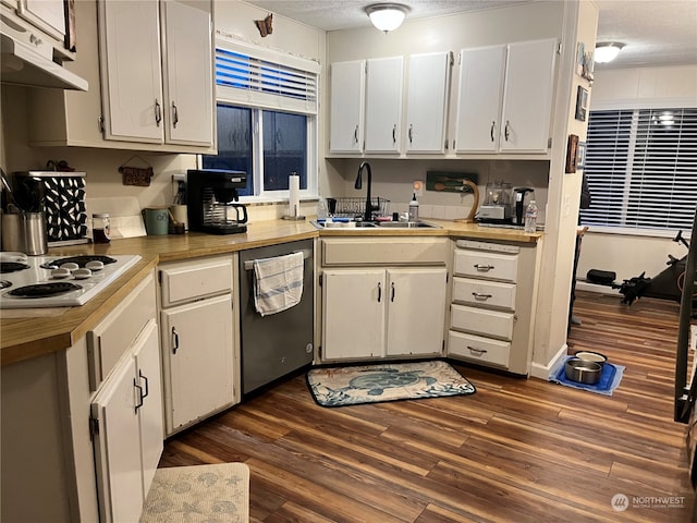 kitchen featuring stainless steel dishwasher, white cabinets, and dark wood-type flooring