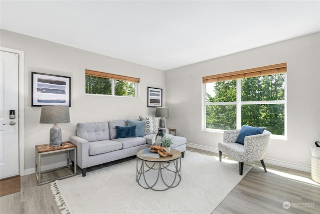 living room featuring light hardwood / wood-style flooring and a wealth of natural light