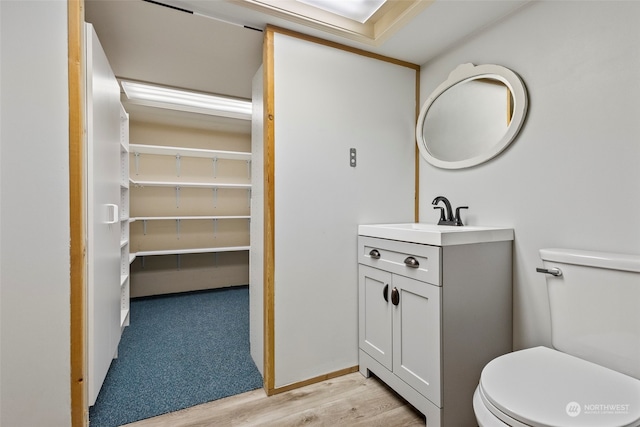 bathroom featuring vanity, toilet, and wood-type flooring