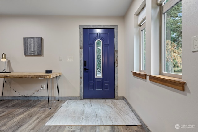 foyer entrance with hardwood / wood-style flooring