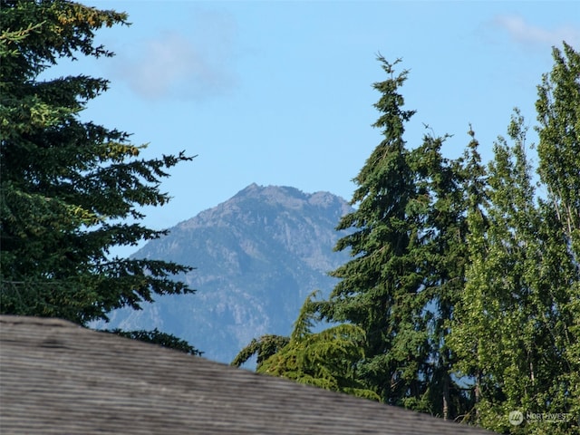 view of mountain feature