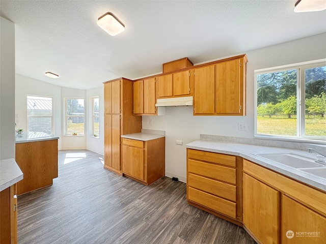 kitchen featuring dark hardwood / wood-style flooring, sink, and a textured ceiling