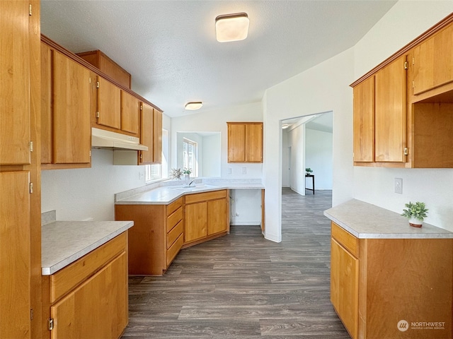 kitchen featuring sink, dark hardwood / wood-style floors, lofted ceiling, and a textured ceiling