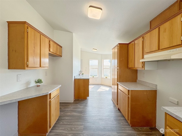 kitchen featuring dark hardwood / wood-style flooring and vaulted ceiling