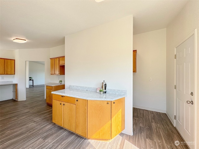 kitchen with dark wood-type flooring