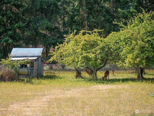 view of yard featuring a storage shed