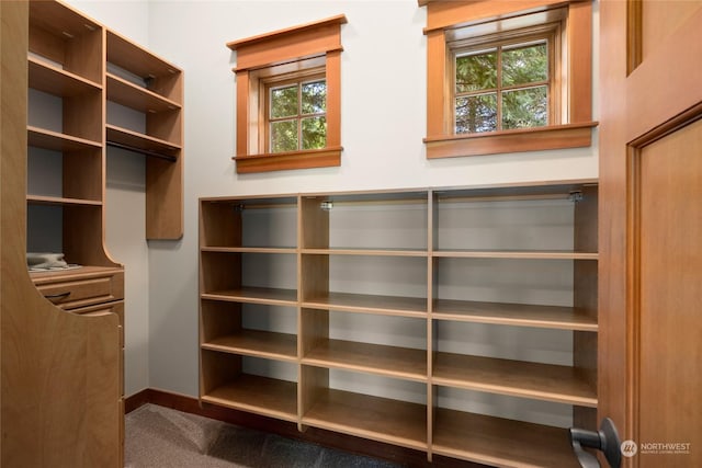 walk in closet with carpet flooring