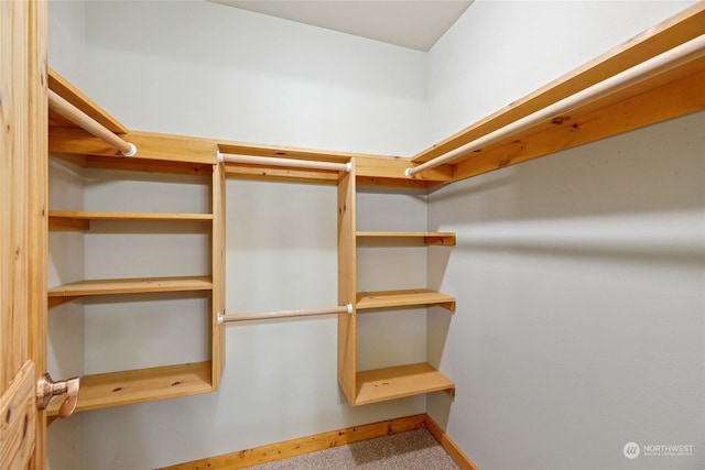 view of spacious closet