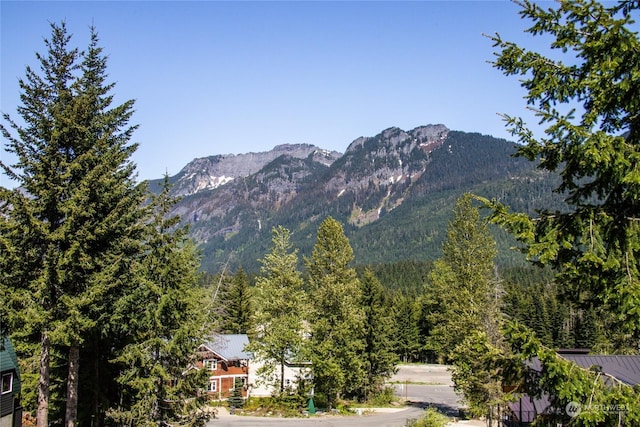 property view of mountains