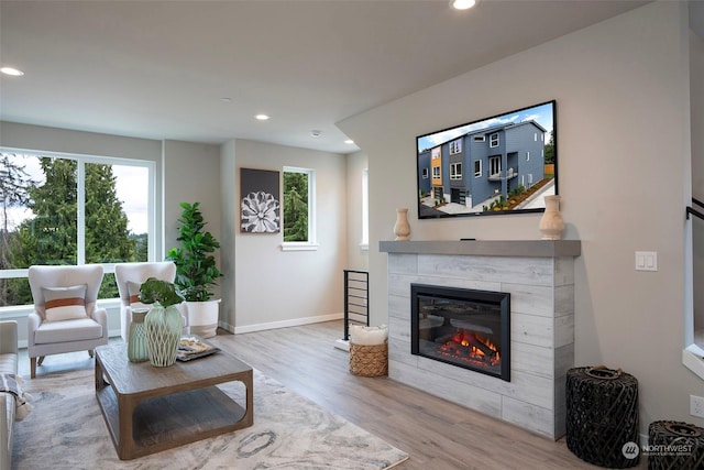 living room featuring a tiled fireplace and light wood-type flooring