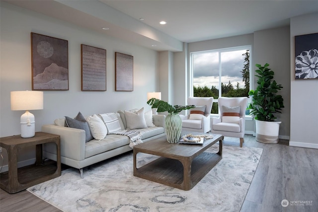 living room with wood-type flooring