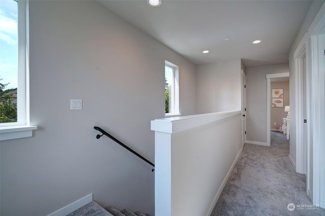 stairway featuring carpet floors