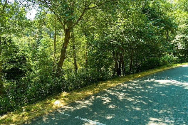 0LOT62 Fidalgo Dr, Clinton, WA 98236 - photo 3