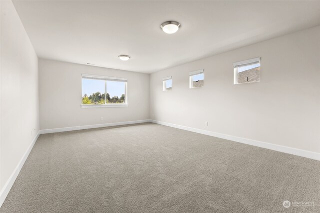 spare room with carpet floors