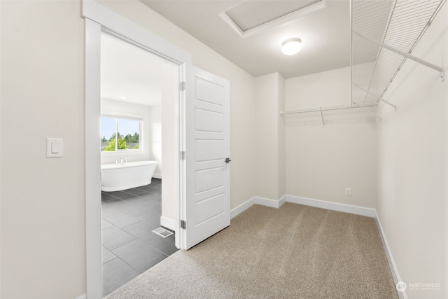 spacious closet featuring carpet