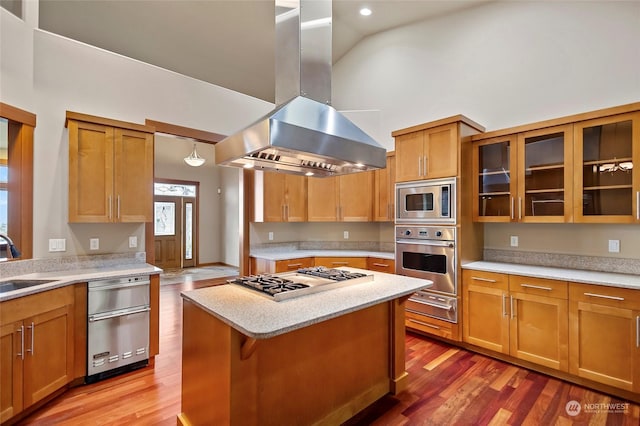 kitchen featuring a kitchen island, appliances with stainless steel finishes, island range hood, wood-type flooring, and sink