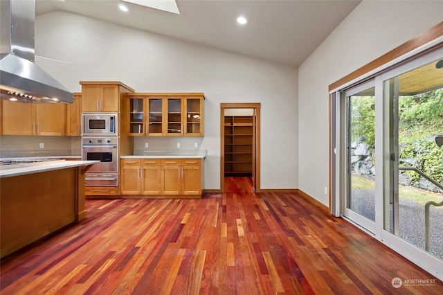 kitchen with wall chimney range hood, appliances with stainless steel finishes, a skylight, high vaulted ceiling, and dark hardwood / wood-style floors