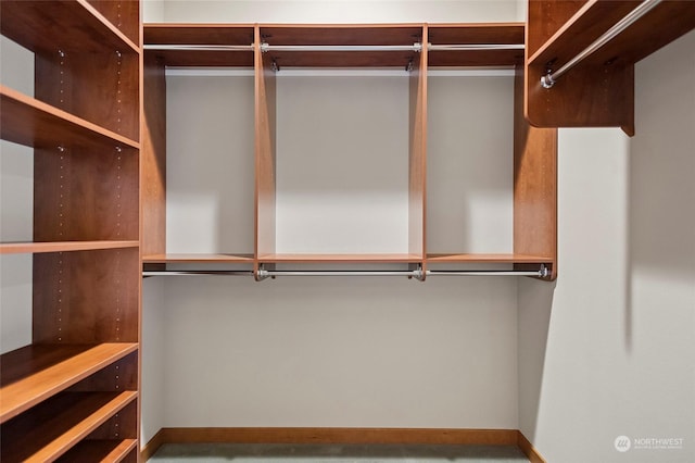 view of walk in closet